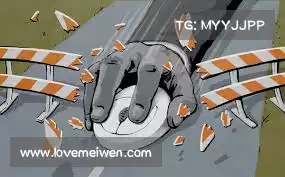 蘑菇加速器下载安装——深度探析数据，发掘潜能与风险，助您把握机遇！